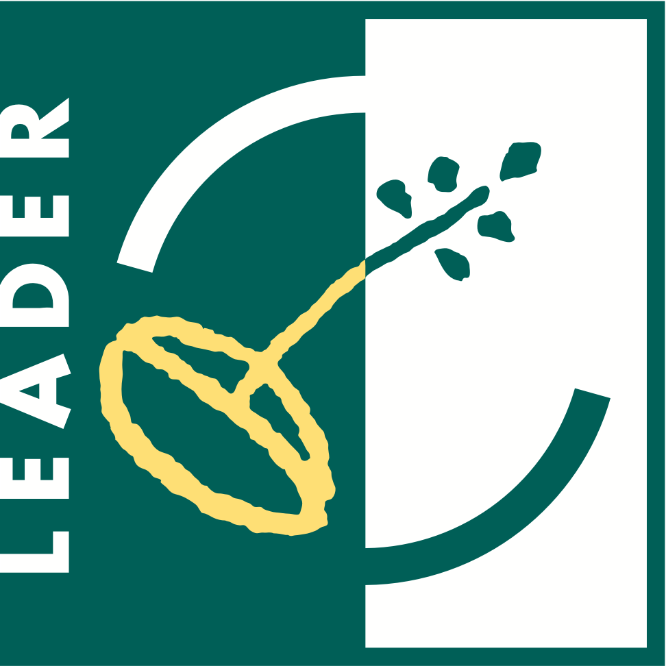 logo_leader@2x